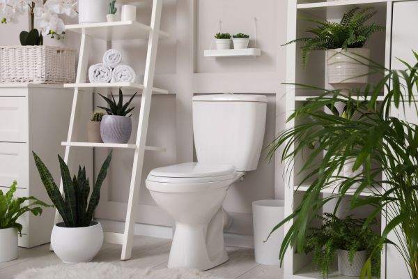 Cost of Toilet Repair in Marietta