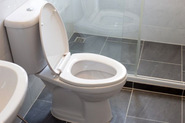 Cost of Toilet Replacement in Marietta